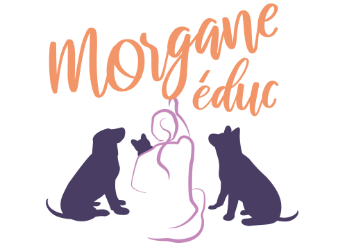 EI Morgane Educ