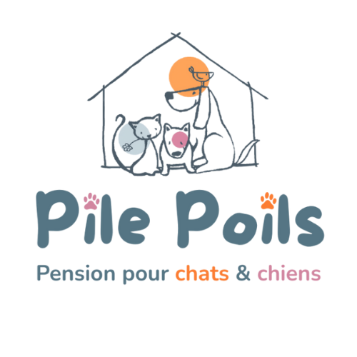 Pile Poils