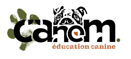 Canem éducation canine