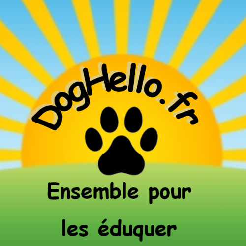 DOG HELLO