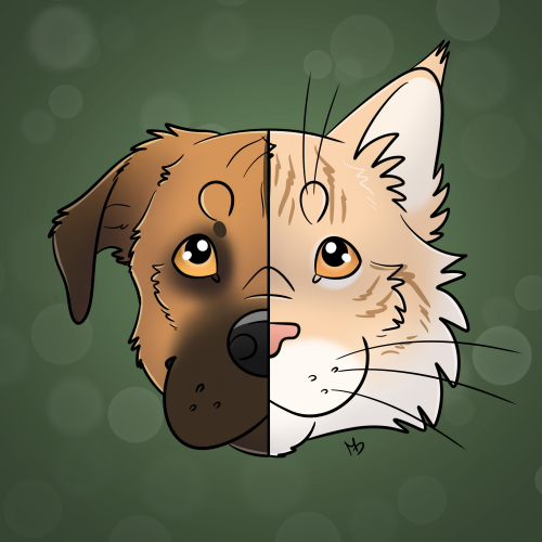 Instinct et Truffe