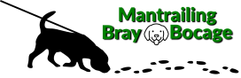 Bray Bocage Education