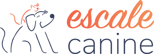 ESCALE CANINE