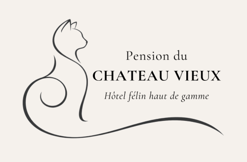 Pension du Château Vieux