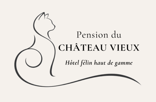 Pension du Château Vieux