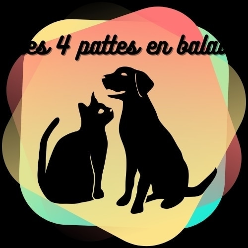les 4 Pattes en Ballade