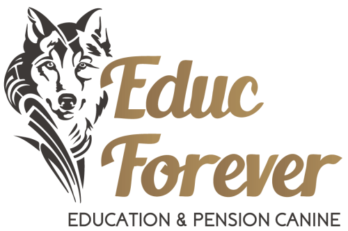 Educ Forever