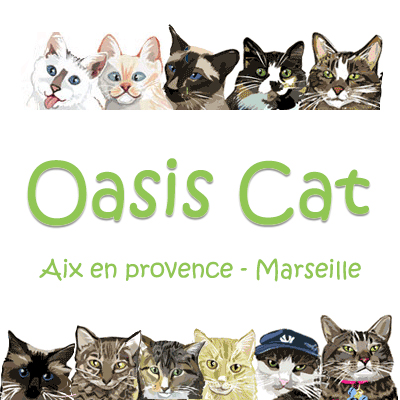 Oasis Cat