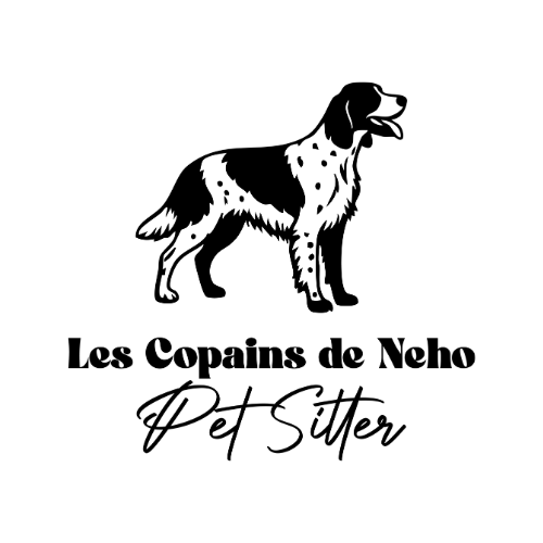 Les Copains de Ného